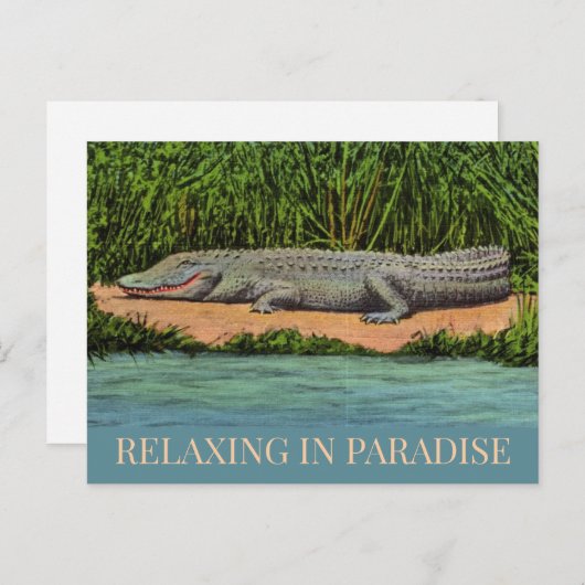 Relaxte Florida Gator Postkarte (Vorne/Hinten)