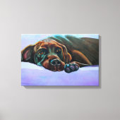 Relaxter Schokolade-Labrador Leinwanddruck (Vorderseite)