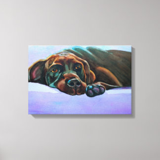 Relaxter Schokolade-Labrador Leinwanddruck