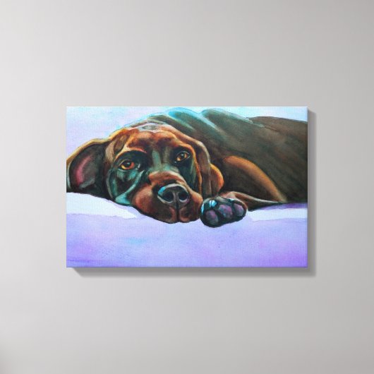 Relaxter Schokolade-Labrador Leinwanddruck (Vorderseite)