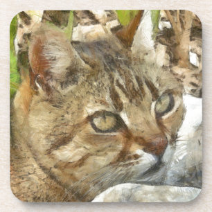 Relaxter Tabby Cat Ruhigen im Garten Stift Getränkeuntersetzer