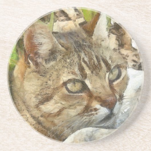 Relaxter Tabby Cat Ruhigen im Garten Stift Getränkeuntersetzer (Vorne)