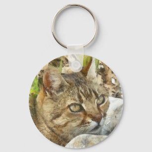 Relaxter Tabby Cat Ruhigen im Garten Stift Schlüsselanhänger