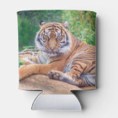 Relaxter Tiger Dosenkühler (Rückseite)