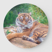 Relaxter Tiger Große Wanduhr (Vorderseite)