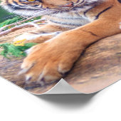 Relaxter Tiger Poster (Ecke)