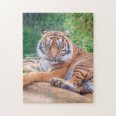 Relaxter Tiger Puzzle (Vertikal)