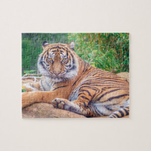 Relaxter Tiger Puzzle