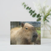 Relaxtes Capybara Portrait Postkarte (Stehend Vorderseite)