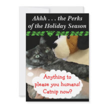 Relaxtes Party Invite (Cat) von RoseWrites