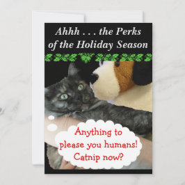 Relaxtes Party Invite (Cat) von RoseWrites Einladung