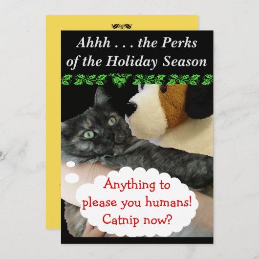 Relaxtes Party Invite (Cat) von RoseWrites Einladung (Vorne/Hinten)