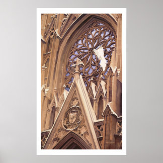 "Release" Dove bei Church Artwork Poster
