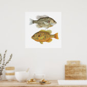 Relieb & Pumpkinseed Sunfish Art Poster (Küche)