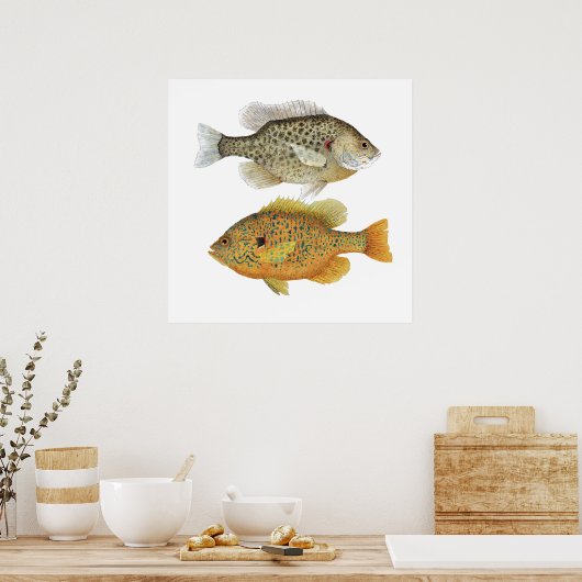 Relieb & Pumpkinseed Sunfish Art Poster (Küche)