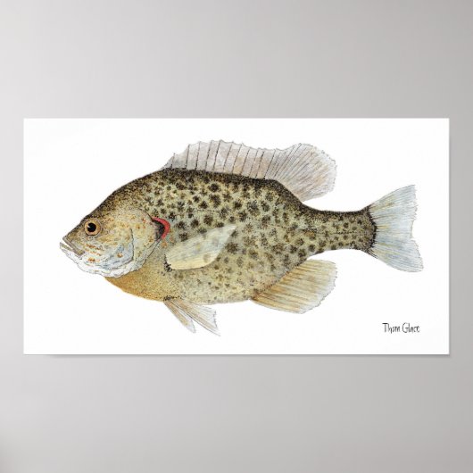 Relieb Sunfish Art Poster (Vorne)