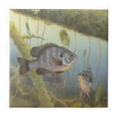 Relieb Sunfish Fliese (Vorderseite)