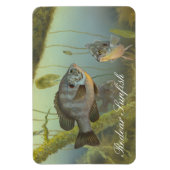 Relieb Sunfish Painting Magnet (Vertikal)