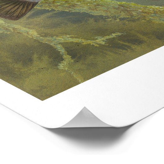 Relieb Sunfish Painting Poster (Ecke)