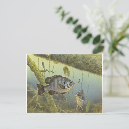 Relieb Sunfish Postkarte (Stehend Vorderseite)