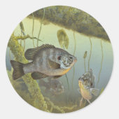 Relieb Sunfish Runder Aufkleber (Vorderseite)