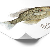 Relieber Sunfish Art Poster (Ecke)