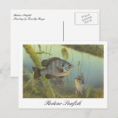 Relieber Sunfish Malerei Postcard Postkarte (Vorne/Hinten)