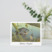 Relieber Sunfish Malerei Postcard Postkarte (Stehend Vorderseite)