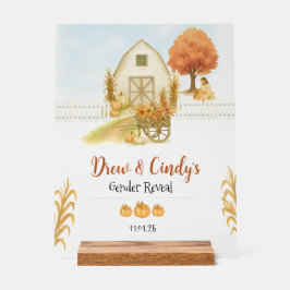 Religiöses Fall Geschlecht offenbart Akryllische Z Acrylschild