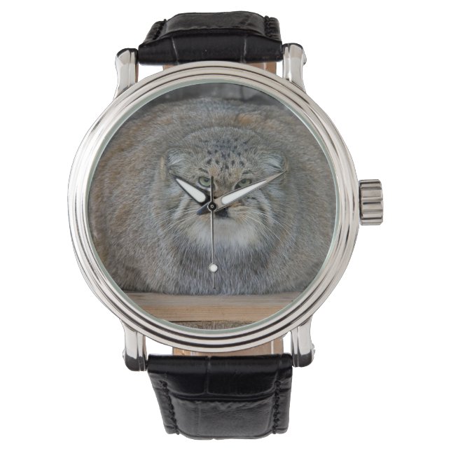 Reloj de Cuero de gato Palla Armbanduhr (Vorderseite)