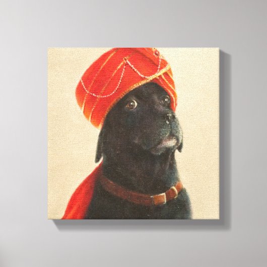 Reluctant Maharaja 2010 Leinwanddruck (Vorderseite)