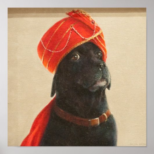 Reluctant Maharaja 2010 Poster (Vorne)