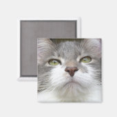 Rema Magnet 003 (Vorderseite/Rückseite)