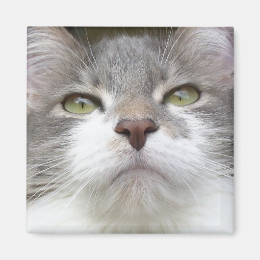 Rema Magnet 003 (Vorne)