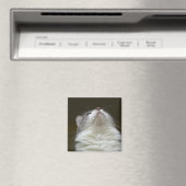 Rema Magnet 008 (In Situ (Geschirrspüler))