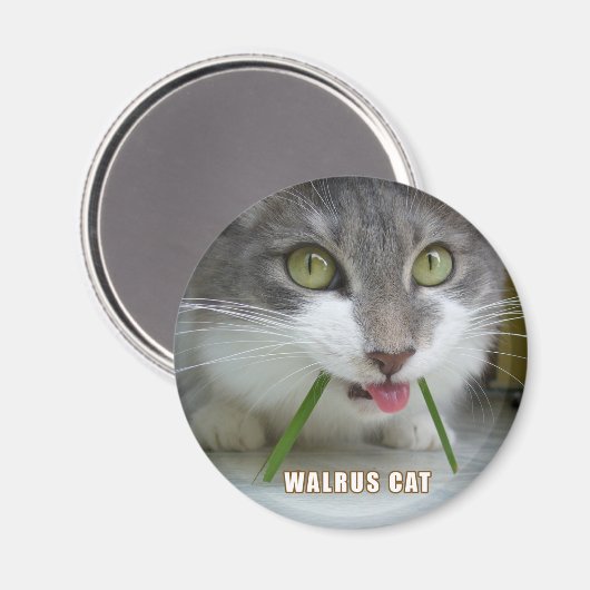 Rema Magnet 011 (Vorderseite/Rückseite)