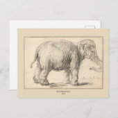 Rembrandt, Ein Elefant, 1637, Fine Art Postkarte (Vorne/Hinten)