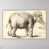 Rembrandt - Elephant 1637 Poster (Vorne)