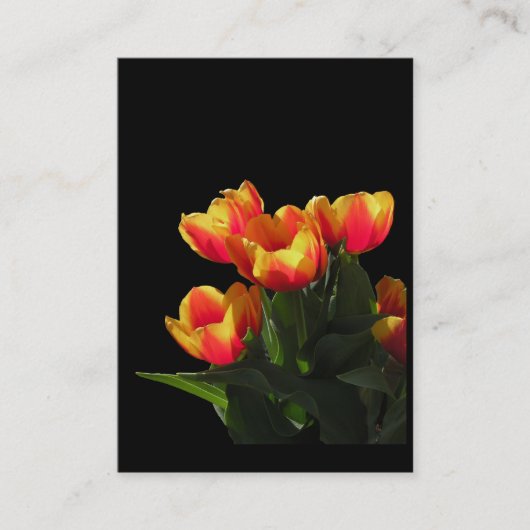Rembrandt-Tulpen ATC-Foto-Karte Visitenkarte (Vorderseite)