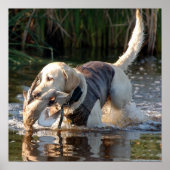 Remington Poster (Vorne)