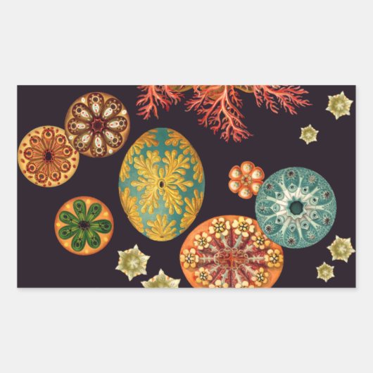 Remix-Aufkleber für Sea Squirt Rechteckiger Aufkleber (Vorderseite)