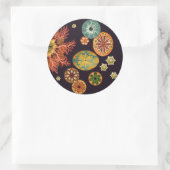 Remix-Aufkleber für Sea Squirt Runder Aufkleber (Tasche)