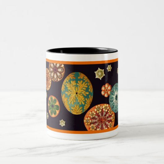 Remix-Tasse Zweifarbige Tasse (Mittel)