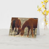 Remuda Herd Freunde des guten Herrn im Himmel Karte (Gelbe Blume)