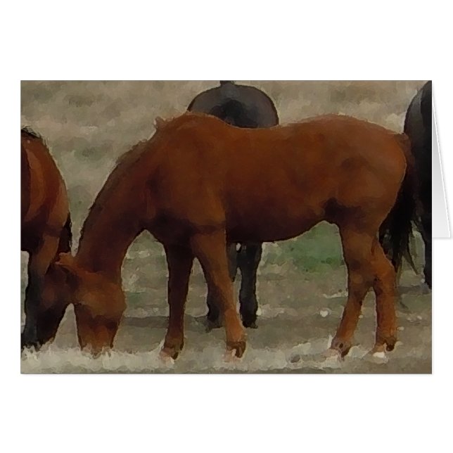 Remuda Herd Grazes - Ranch Kuh Pferde - Leere (Vorderseite (Horizontal))