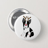 Ren Bostons Terrier Button (Vorne & Hinten)