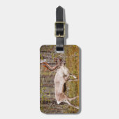 Ren, das in Wald geht Gepäckanhänger (Vorderseite vertikal)