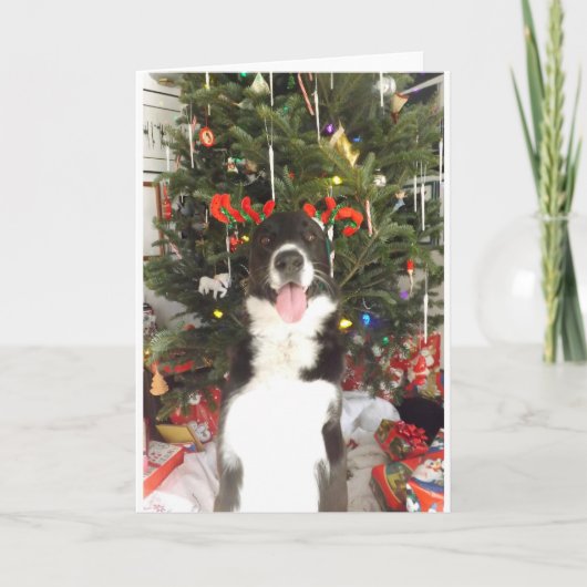 Ren-Geweih-Hundeweihnachtskarte Feiertagskarte (Vorderseite)