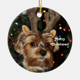 Ren-Hörner Yorkshire Terrier, frohe Weihnachten! Keramikornament