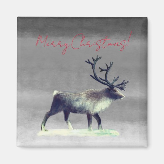 Ren in einem Wintertag Magnet (Vorne)
